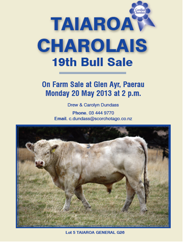 Taiaroa Bull Sale